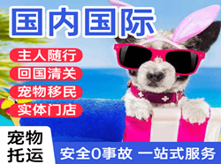 长水空运代理国际宠物托运 【国